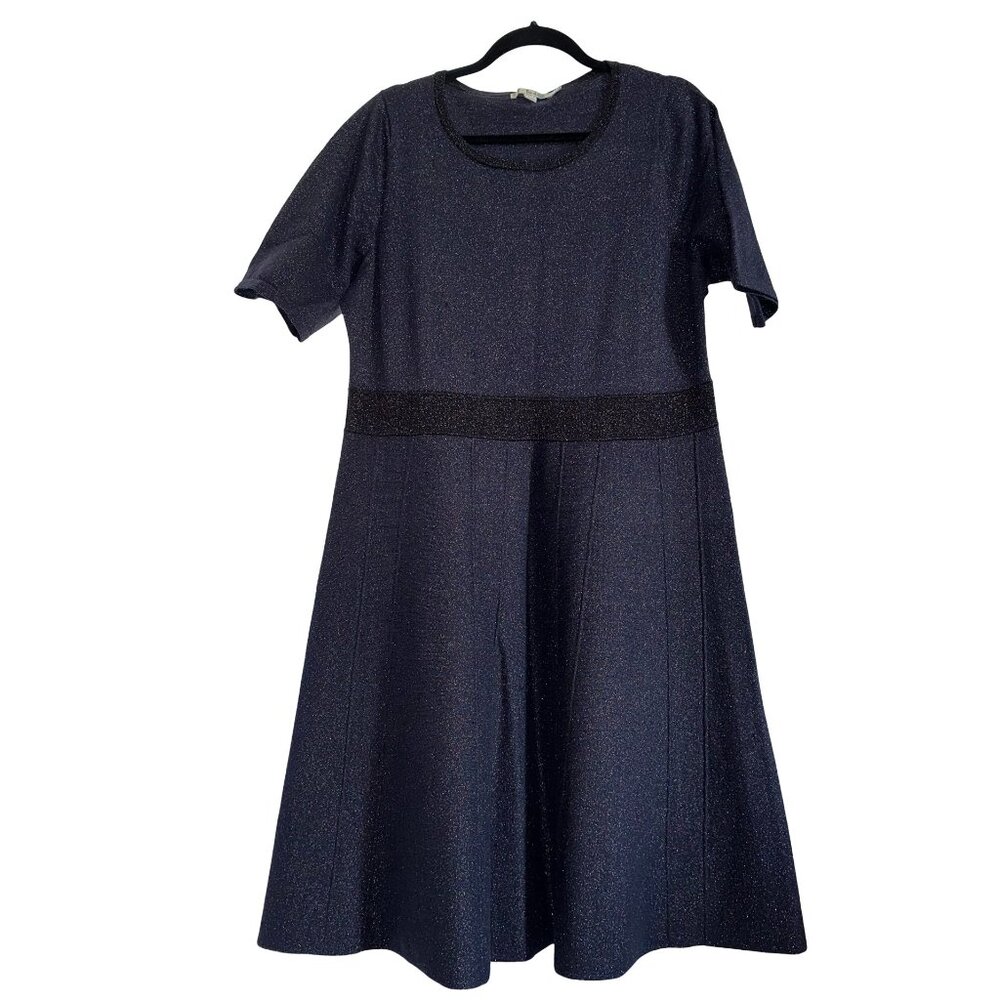 Boden Midnight Blue Knit Metallic Half Sleeve Fit and Flare Milano Dress 16L